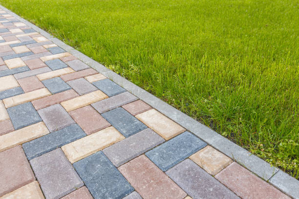 Best Concrete Paver Driveway  in Carter, TX